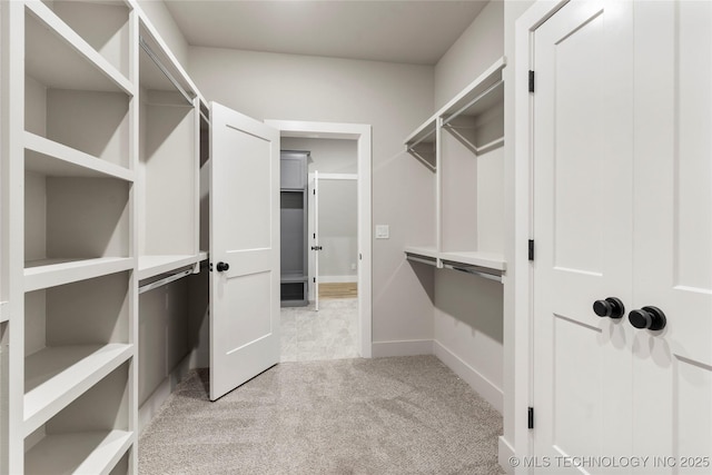 spacious closet featuring light colored carpet