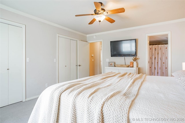 bedroom with ceiling fan, carpet floors, ornamental molding, and multiple closets