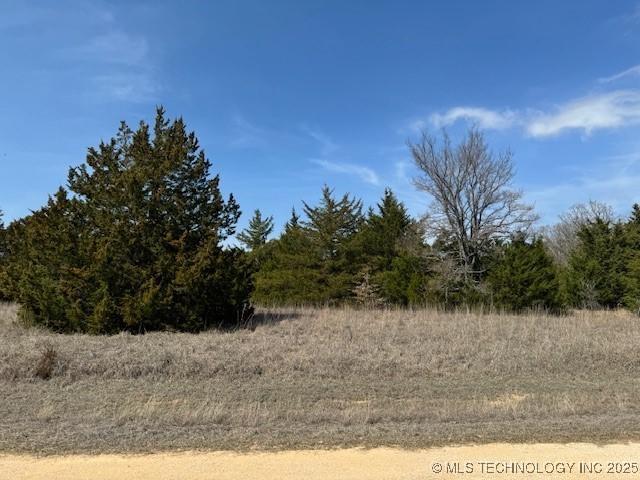 Listing photo 2 for Chisholm, Burneyville OK 73430