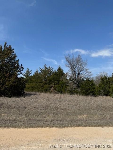 Listing photo 3 for Chisholm, Burneyville OK 73430