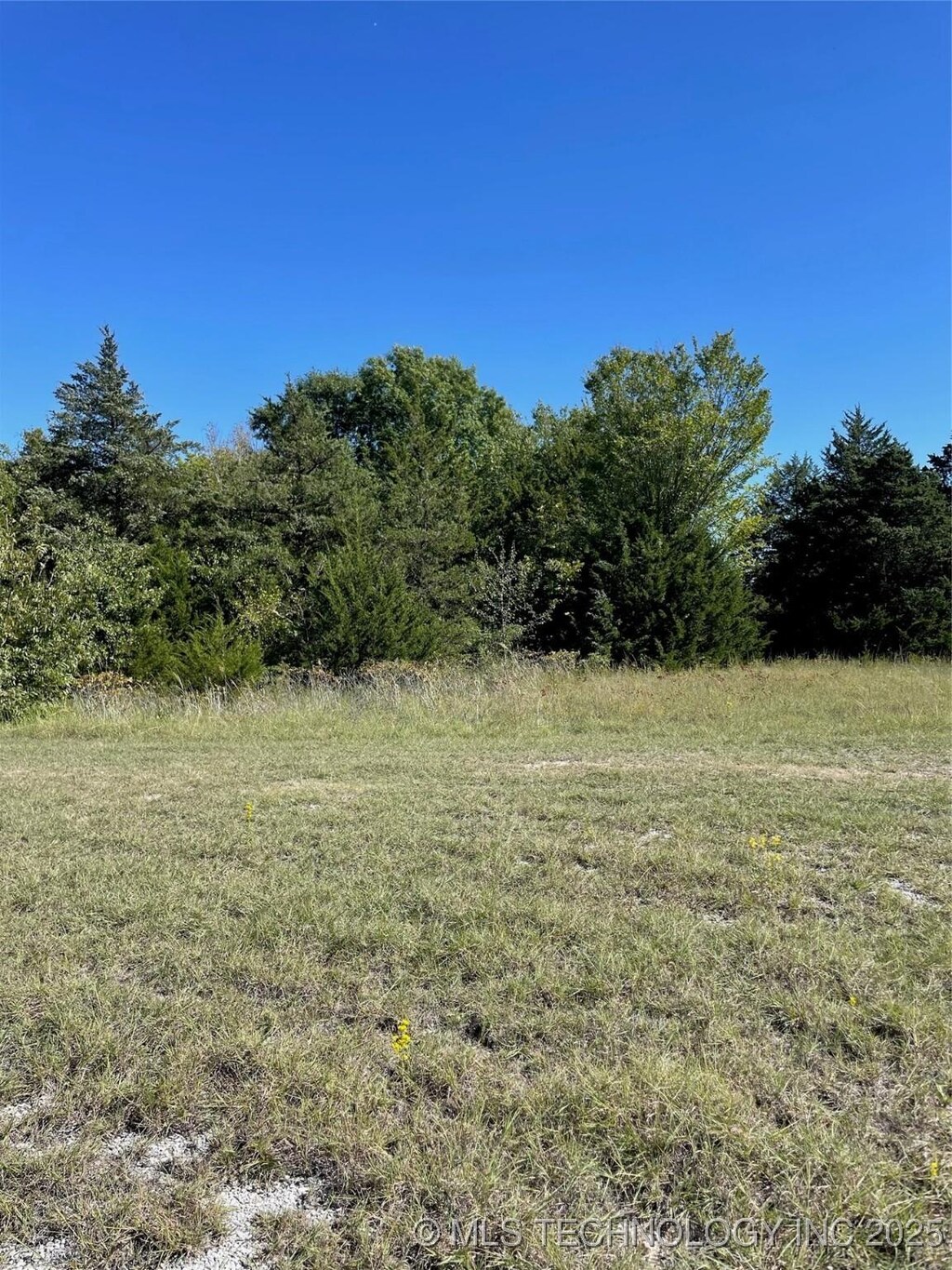 Bonnell, Burneyville, OK 73430 - photo 2
