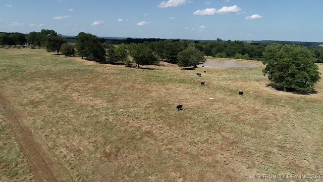 view of local wilderness with a water view and a rural view