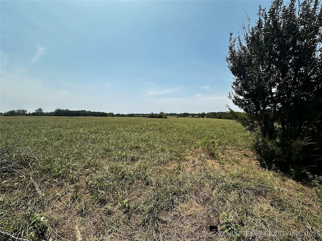 view of nature featuring a rural view