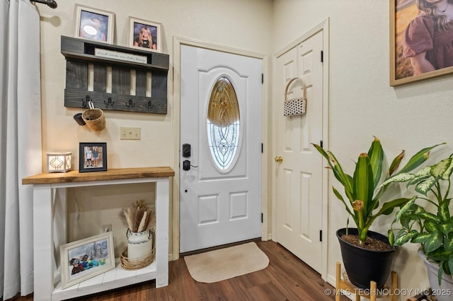 entryway with dark wood-style floors