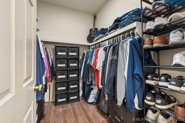 spacious closet featuring wood finished floors