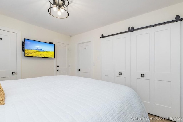 bedroom featuring a barn door and a closet