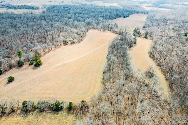 birds eye view of property featuring a wooded view