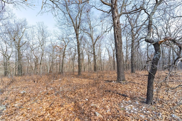 view of landscape