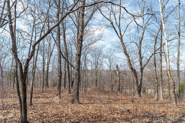 view of landscape featuring a forest view