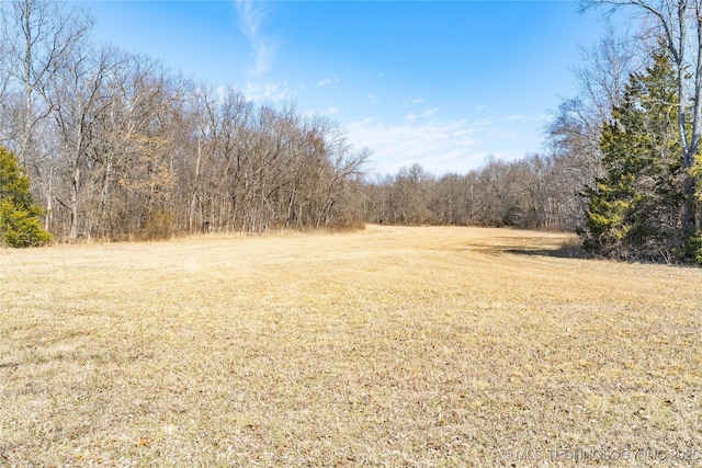 view of yard featuring a forest view