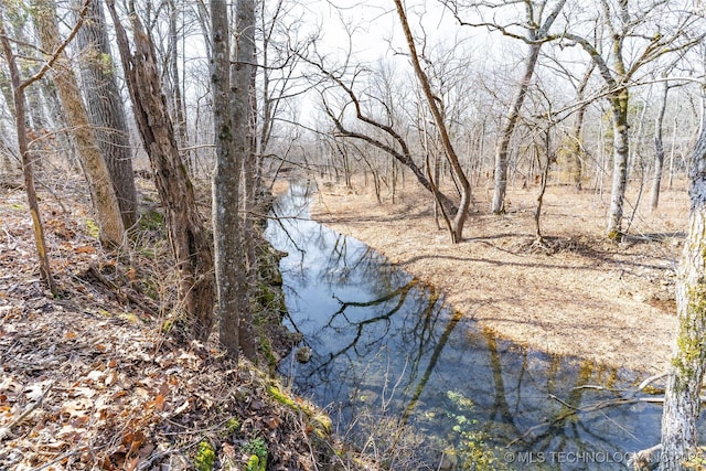 view of local wilderness