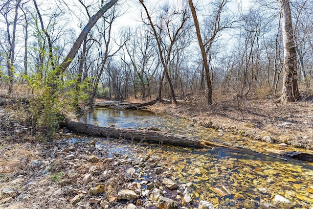 property view of water with a view of trees