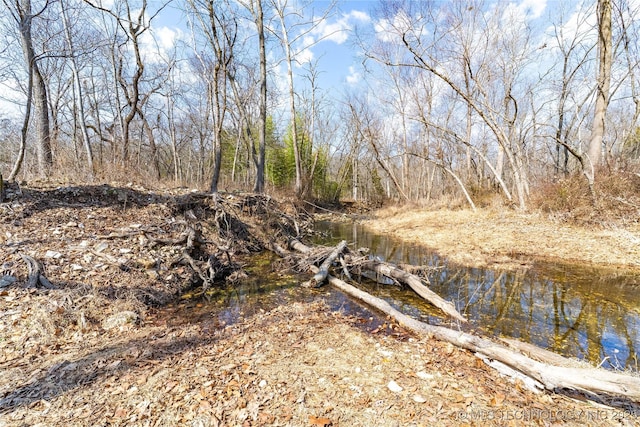 view of local wilderness featuring a forest view