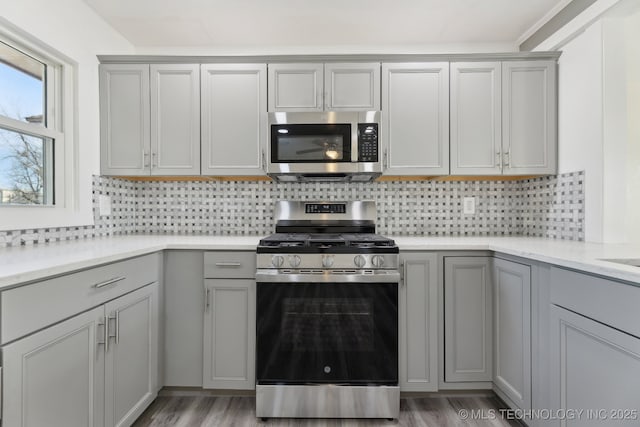 kitchen featuring stainless steel appliances, gray cabinetry, and tasteful backsplash