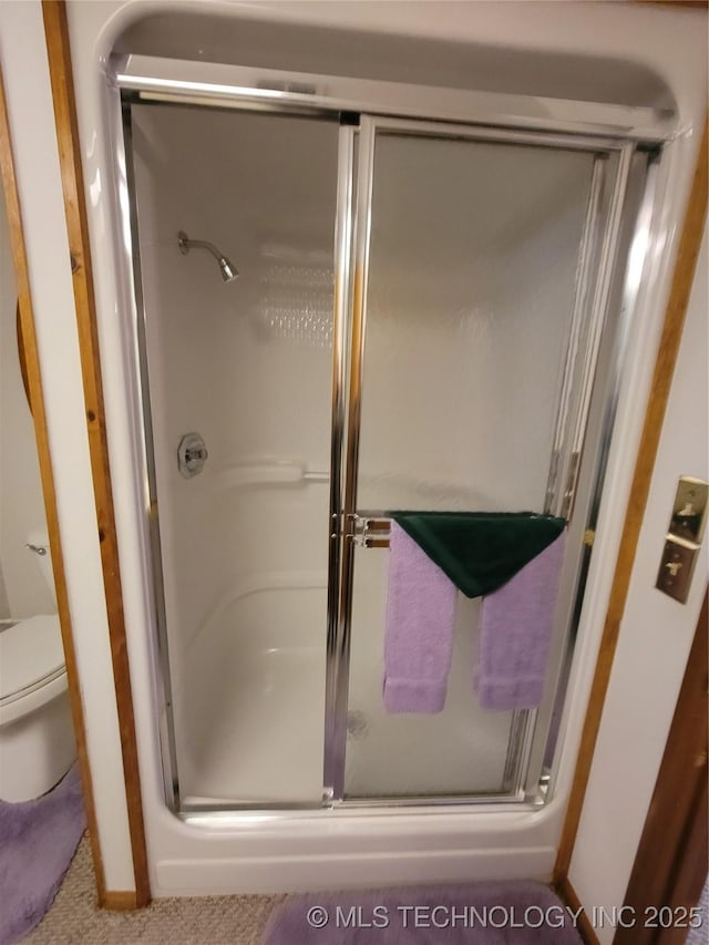 full bathroom featuring toilet and a stall shower