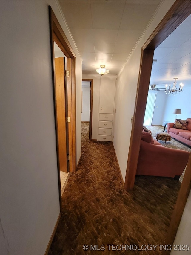 hall featuring ornamental molding and carpet flooring