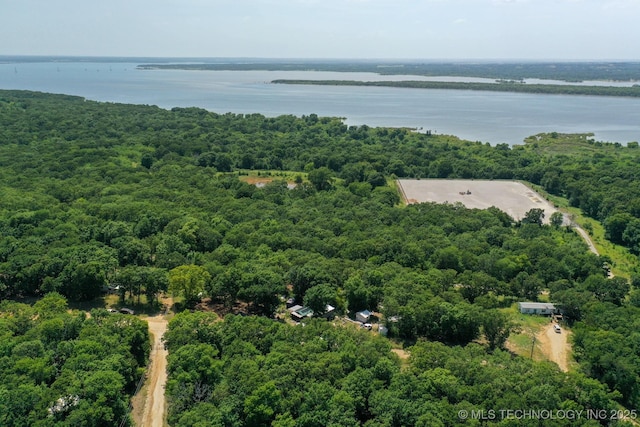 drone / aerial view with a water view and a view of trees