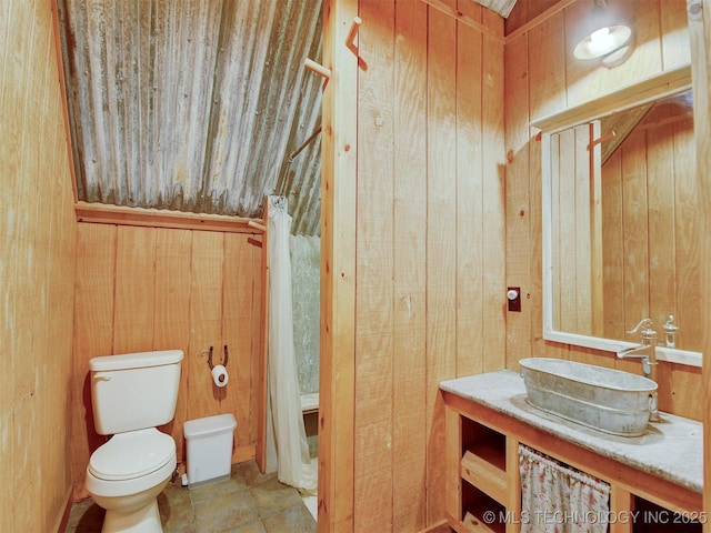 bathroom featuring toilet, wood walls, and vanity