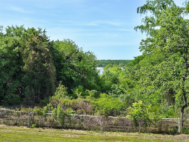 view of yard with a water view, fence, and a view of trees