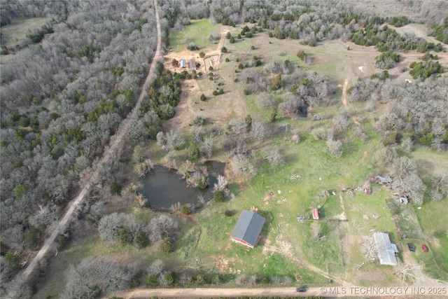 drone / aerial view