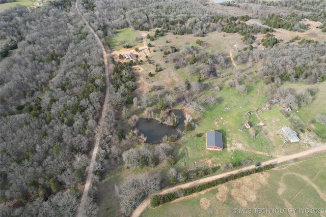 drone / aerial view
