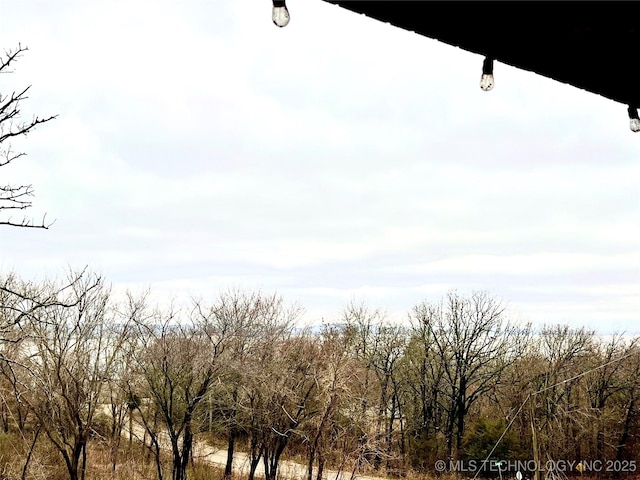 view of local wilderness