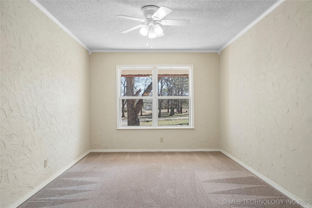 unfurnished room with crown molding, carpet flooring, and a textured wall