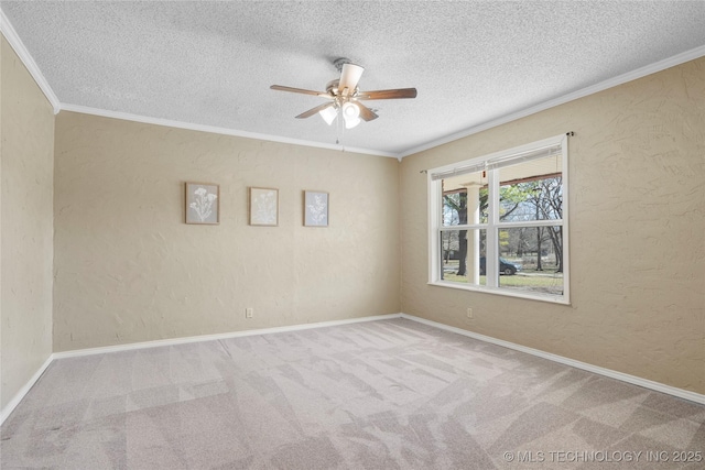 empty room with a textured wall, carpet, and crown molding