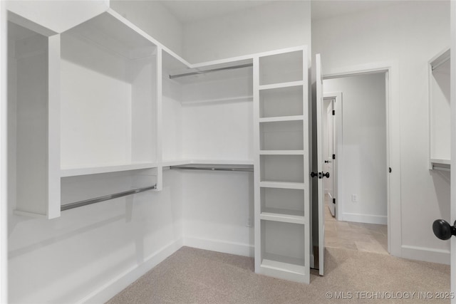 walk in closet featuring carpet