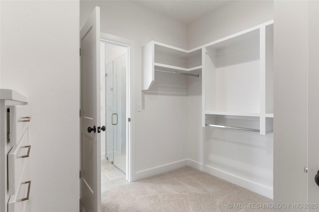 walk in closet with light colored carpet