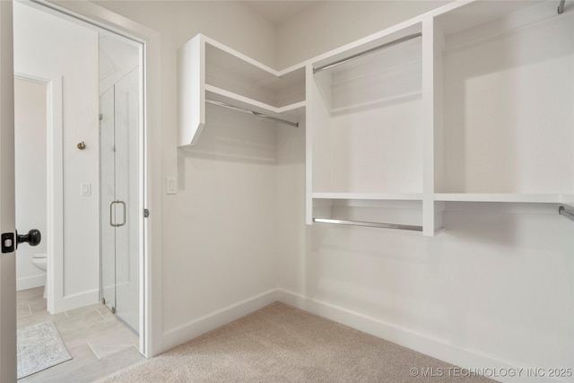 spacious closet with carpet floors
