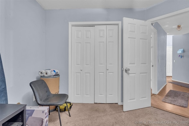 living area with carpet flooring