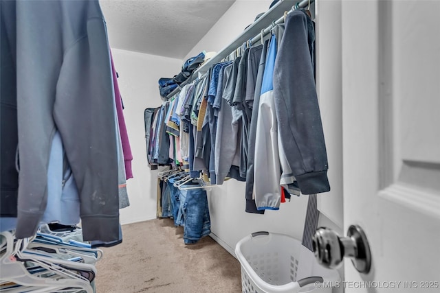 spacious closet featuring carpet