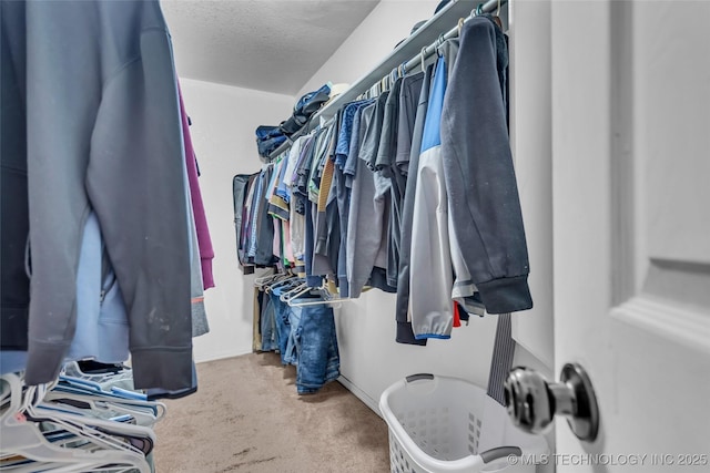 2517 Westwood, Ardmore, OK 73401 - walk in closet with carpet flooring
