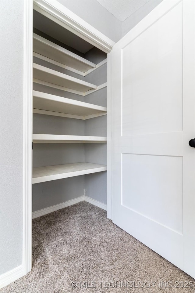 view of closet