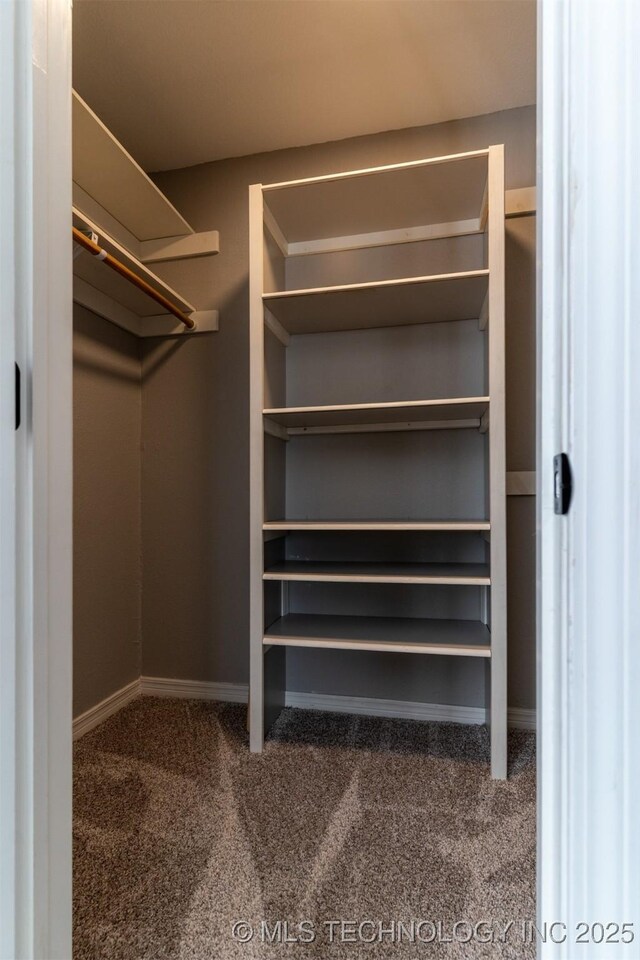 walk in closet with carpet floors