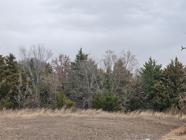 Culp, Burneyville OK, 73430 land for sale