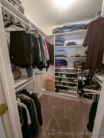 spacious closet with carpet floors