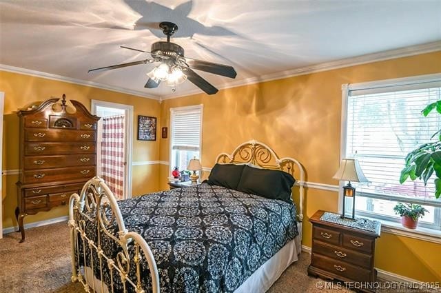 bedroom featuring ornamental molding, multiple windows, and baseboards