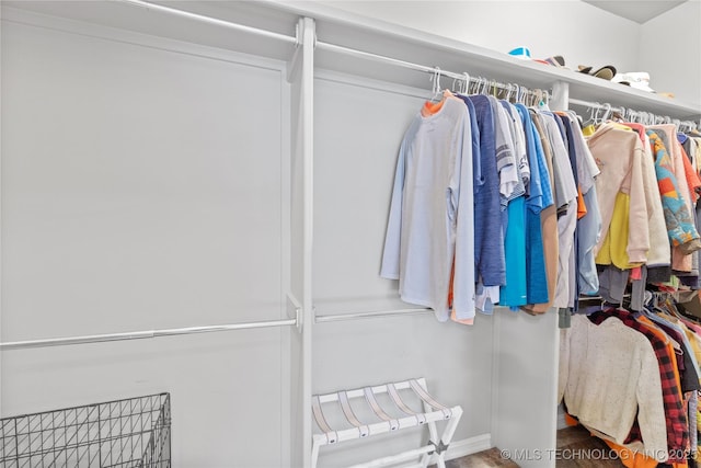 view of spacious closet