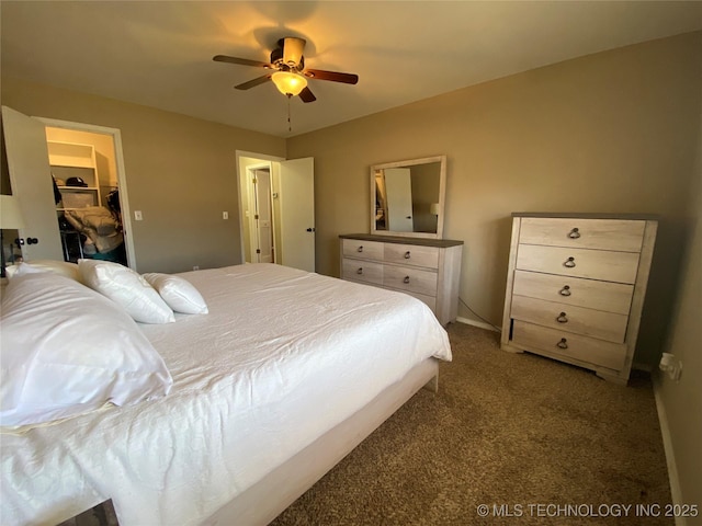 carpeted bedroom featuring a ceiling fan, a walk in closet, and a closet