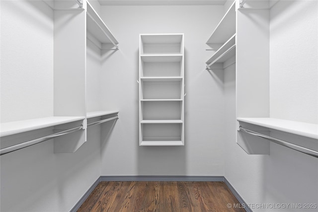 spacious closet featuring dark wood-type flooring