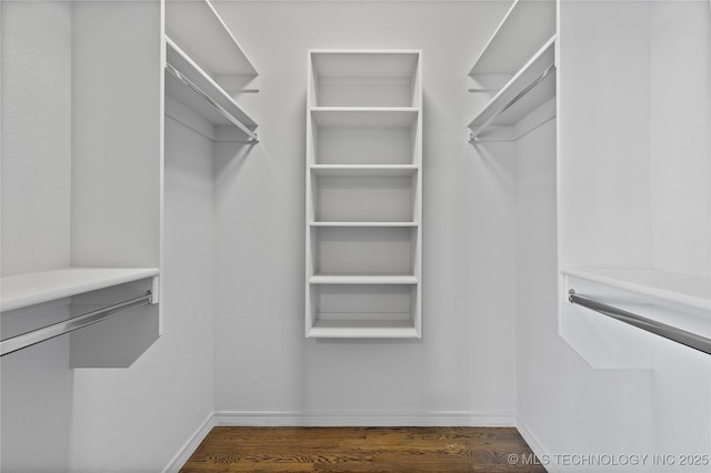 walk in closet featuring wood finished floors