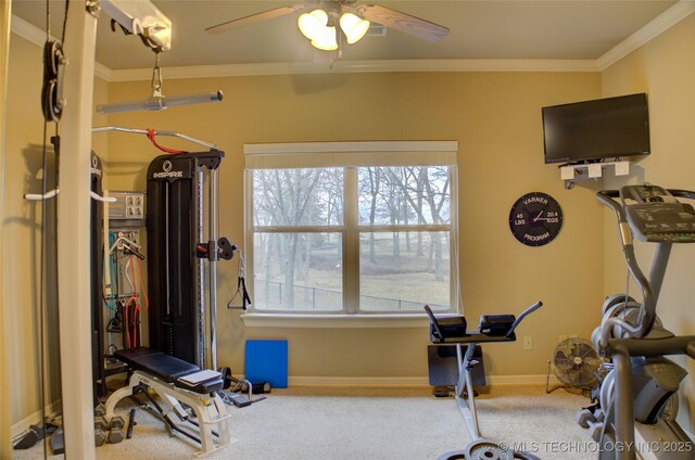 exercise area with ornamental molding, carpet flooring, ceiling fan, and baseboards