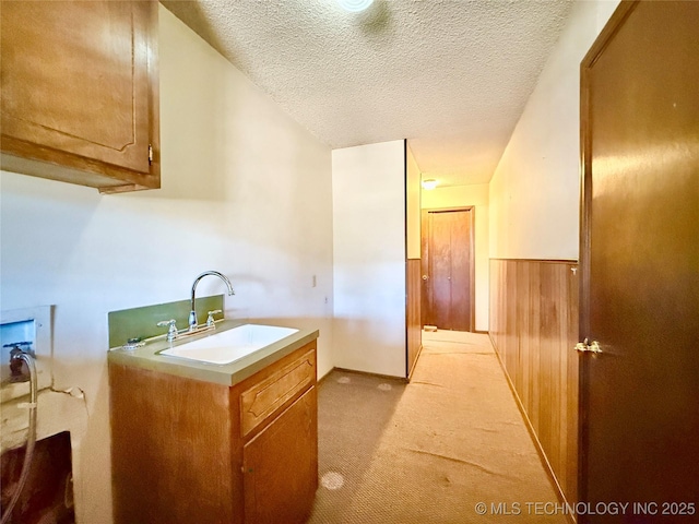 kitchen featuring light carpet, wooden walls, wainscoting, a textured ceiling, and a sink