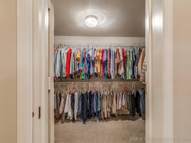 spacious closet with carpet floors