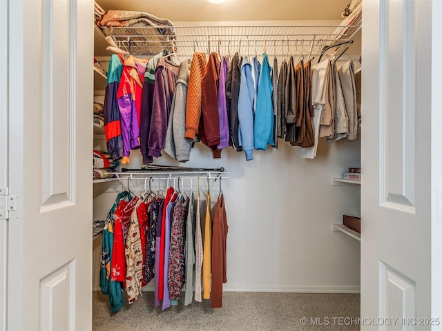 view of walk in closet