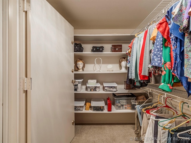 view of spacious closet