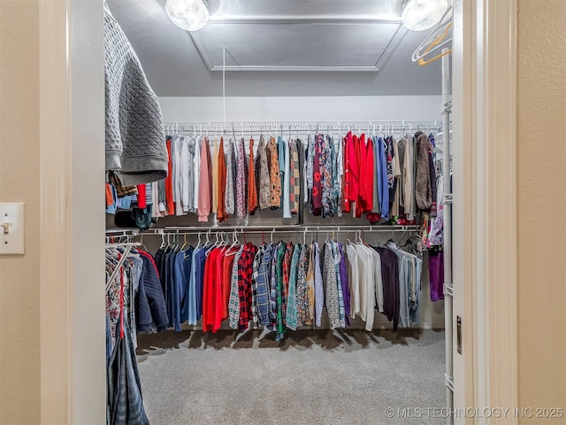 walk in closet with carpet flooring and attic access