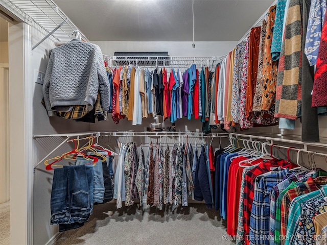 spacious closet with carpet floors